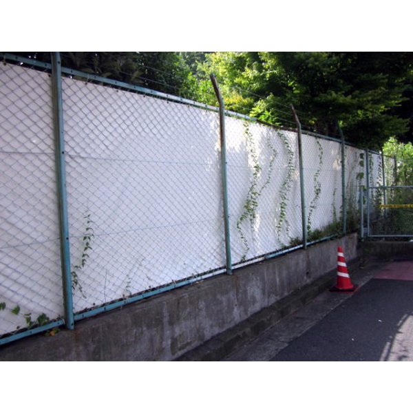 画像2: 輸入防炎シート　0.9×5.4サイズ　10枚　450P