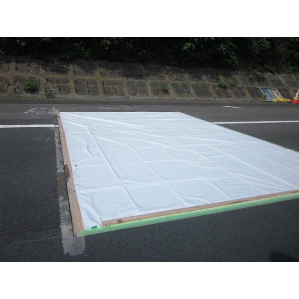 画像3: 輸入防炎シート　0.9×5.4サイズ　10枚　450P