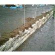 画像5: PE土のう袋　480×620　400枚入り (5)